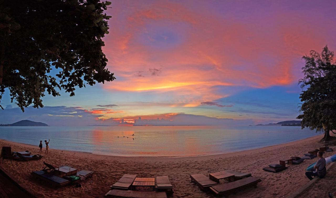 Satva Samui Yoga And Wellness Resort Amphoe Koksamui 외부 사진